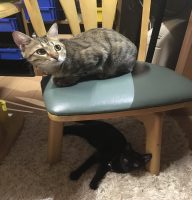 20170813094504_IMG_1514