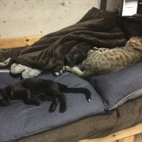 20170813111006_IMG_1519