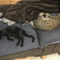 20170813111047_IMG_1520