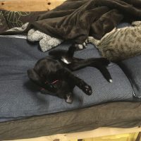 20170813114003_IMG_1521