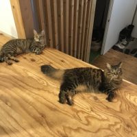 20170829192759_IMG_1557