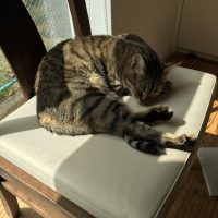 20170916111614_IMG_1595