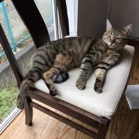 20170916120020_IMG_1600