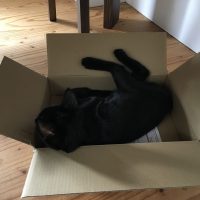 20170916120040_IMG_1601