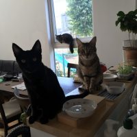 20170921142213_IMG_1628