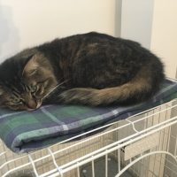 20170923161057_IMG_1632