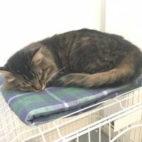 20170923161104_IMG_1633