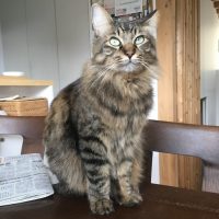 20170930105042_IMG_1649