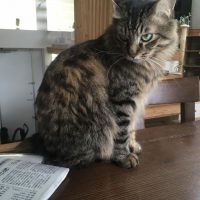 20170930105047_IMG_1650