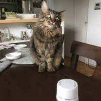 20170930105052_IMG_1651