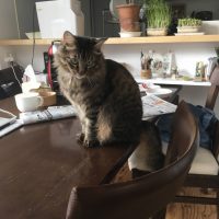 20170930105056_IMG_1652