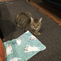 20171212201049_IMG_1666