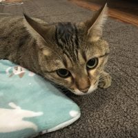 20171212202250_IMG_1679