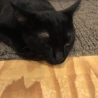 20171212202504_IMG_1683