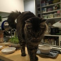 20171212202609_IMG_1684