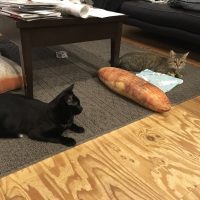 20171212202758_IMG_1686