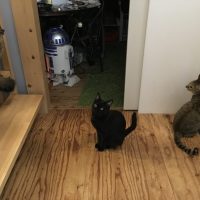 20171212203947_IMG_1690