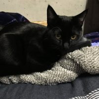 20171212204649_IMG_1698