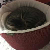 20171212212113_IMG_1700