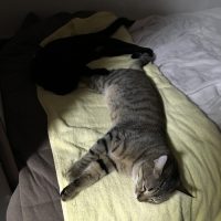 20180101152658_IMG_1703