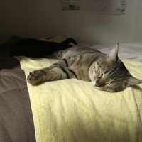 20180101152719_IMG_1705