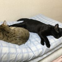 20180103163910_IMG_1706