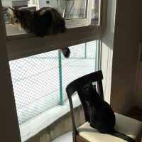 20180120120340_IMG_1709