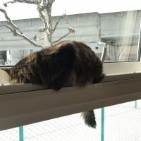 20180120120355_IMG_1710