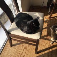 20180120120404_IMG_1711