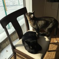 20180120120449_IMG_1720