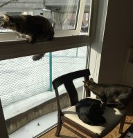 20180120120500_IMG_1723