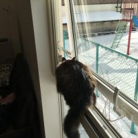 20180120120643_IMG_1730