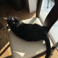 20180120120658_IMG_1732