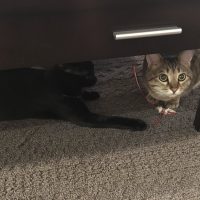 20180121004945_IMG_1740