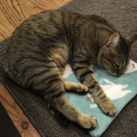 20180121005950_IMG_1741