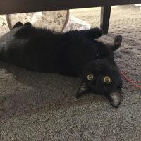 20180121010111_IMG_1744