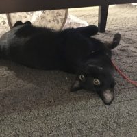 20180121010113_IMG_1746