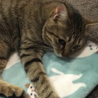 20180121010346_IMG_1749