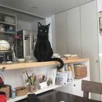 20180121130737_IMG_1756