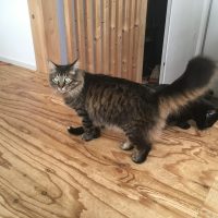 20180121130918_IMG_1764