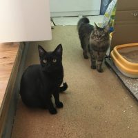 20180121131103_IMG_1767