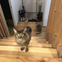 20180223184235_IMG_1771