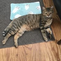 20180224095429_IMG_1781