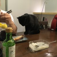 20180510194942_IMG_1806