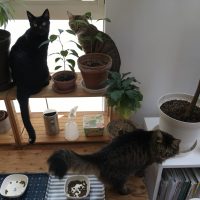 20180527113007_IMG_1814