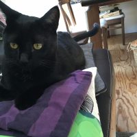 20180527113402_IMG_1832