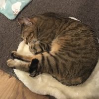 20180618212824_IMG_1844