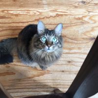 20180923102432_IMG_2187