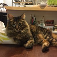 20180923192805_IMG_2186