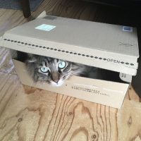 20180929142937_IMG_2009